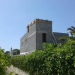 GCP-Mallorca Referenzen